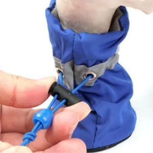 Dogs protective booties. Protects Paws and helps keep  cleaner house.